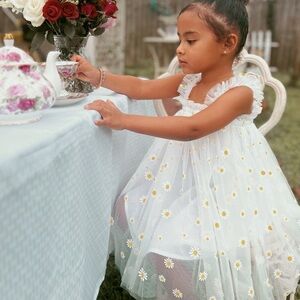 Charming Daisy Embroidered Dress